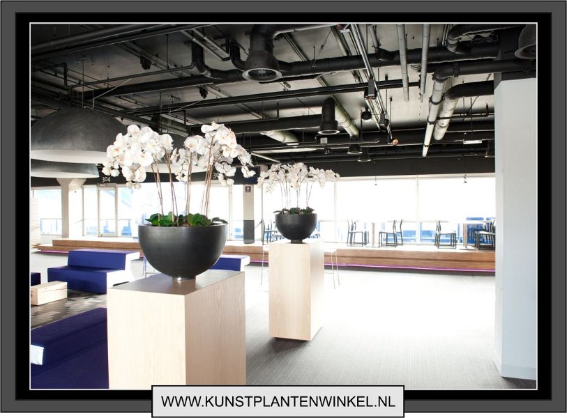 orchidee_wit_in_zwarte_decozuil 2